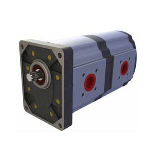2P1 Pump Series